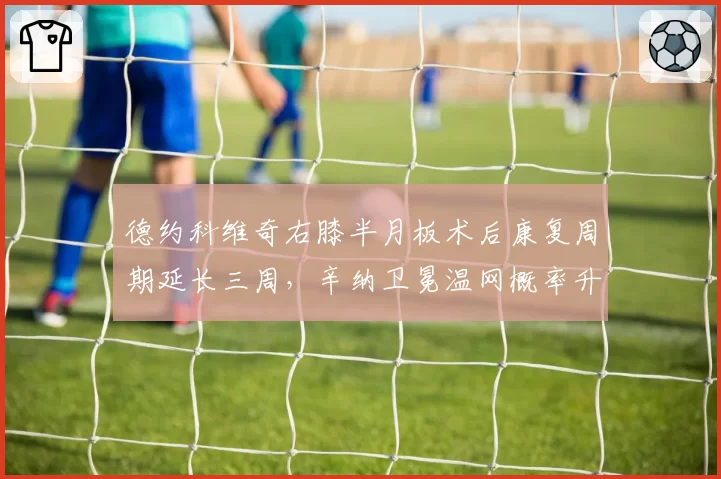 德约科维奇右膝半月板术后康复周期延长三周，辛纳卫冕温网概率升至47%