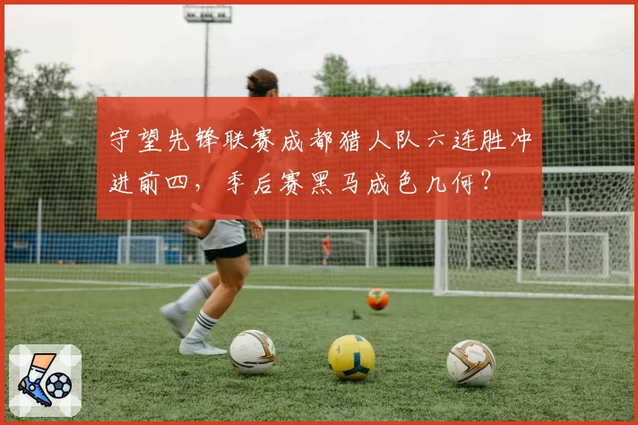 守望先锋联赛成都猎人队六连胜冲进前四，季后赛黑马成色几何？